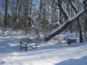 WinterBench